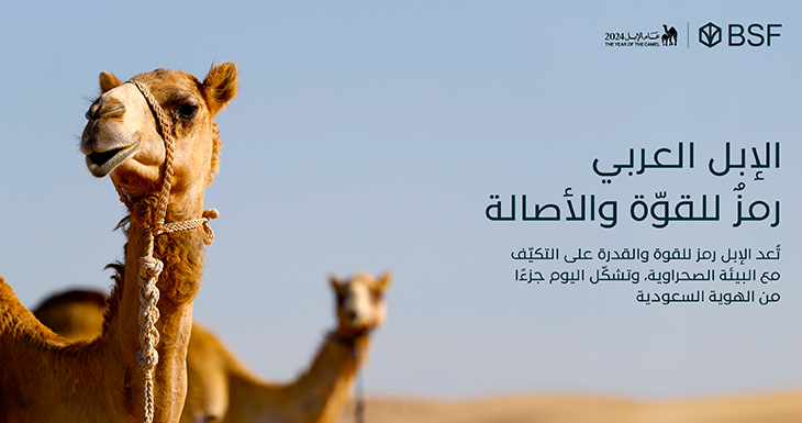 Camel_NLI_En